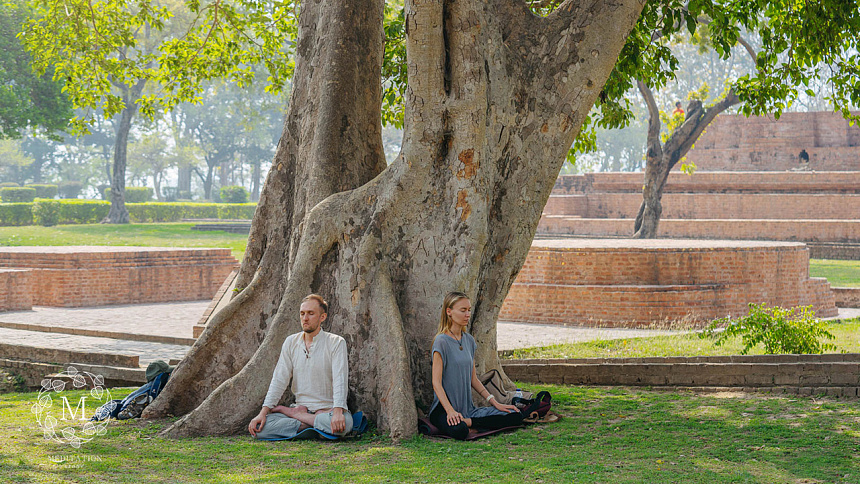 Медитация под деревом фото