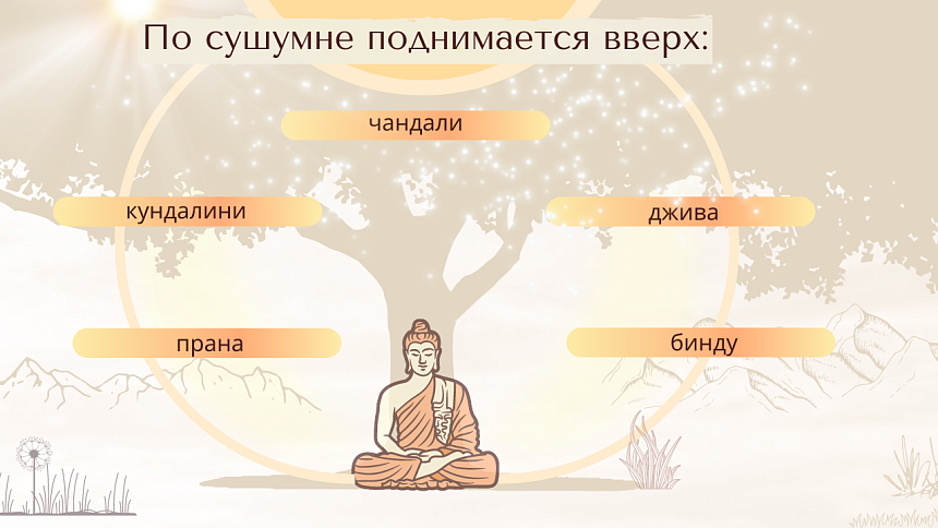 сушумна центральный канал