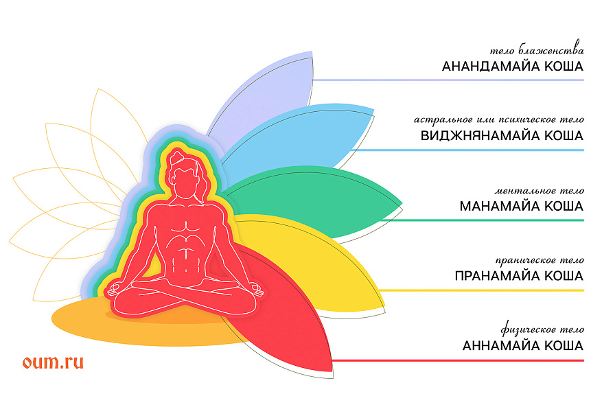 изображение, тонкое тело