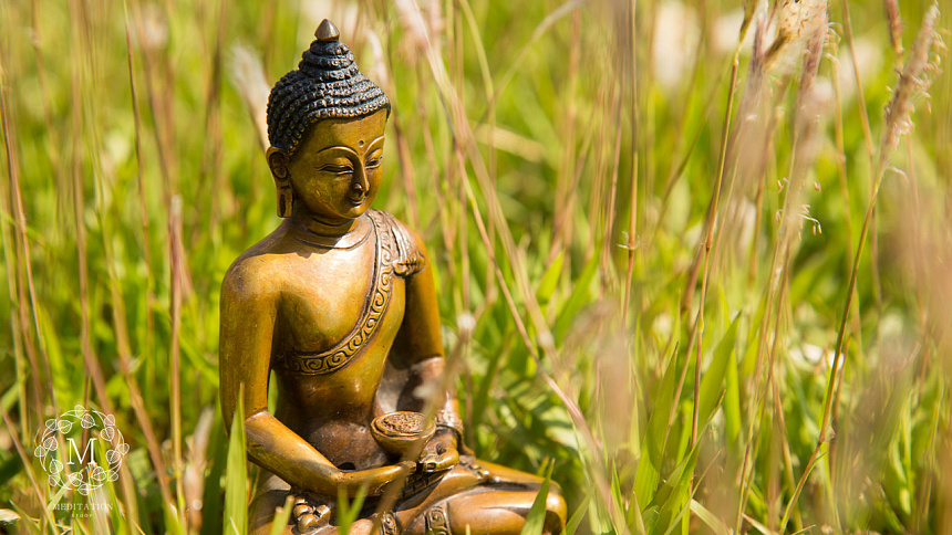 будда, трава