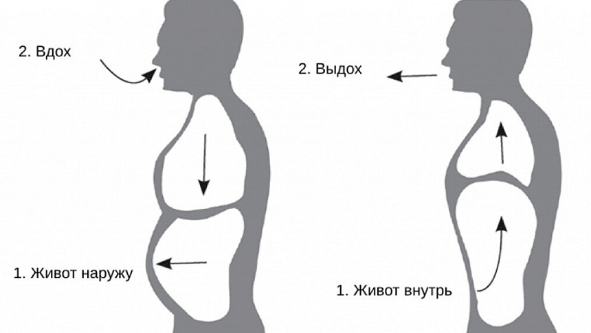 Диафрагмальное — брюшное, или глубокое, дыхание фото