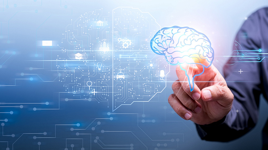 мозг, схема