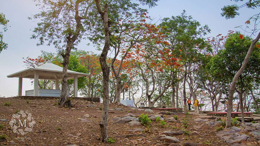 Парк с деревьями фото