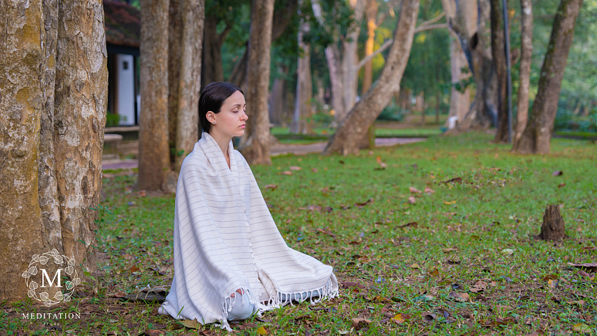 медитация под деревом