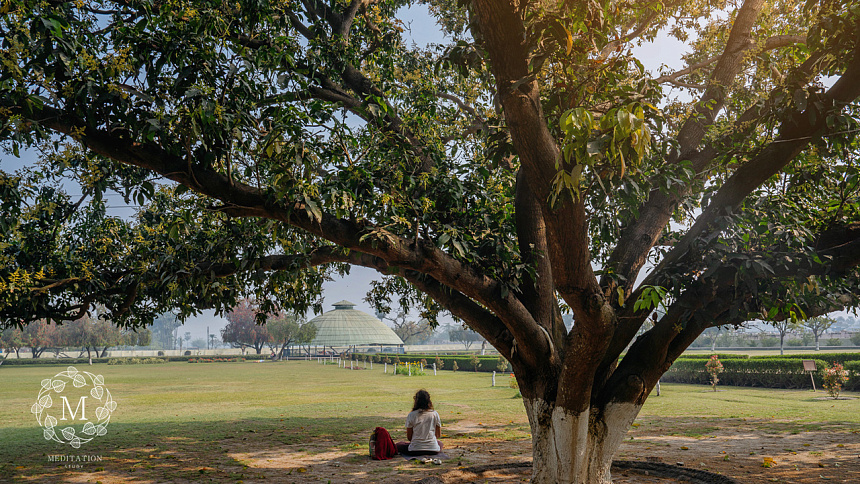 медитация под деревом фото