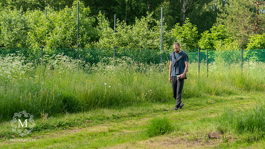 гулять влесу фото