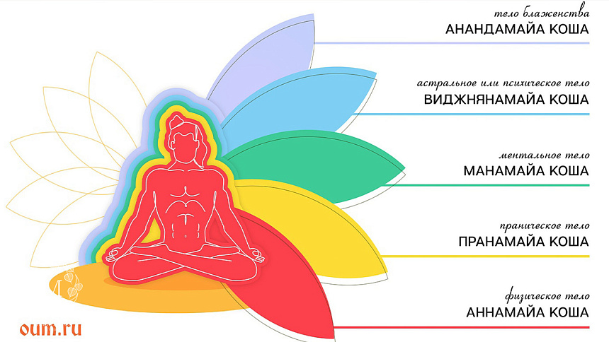 коши, тонкое тело