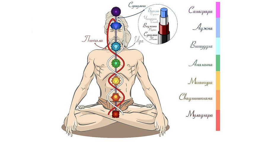 Энергетические каналы и чакры в тонком теле