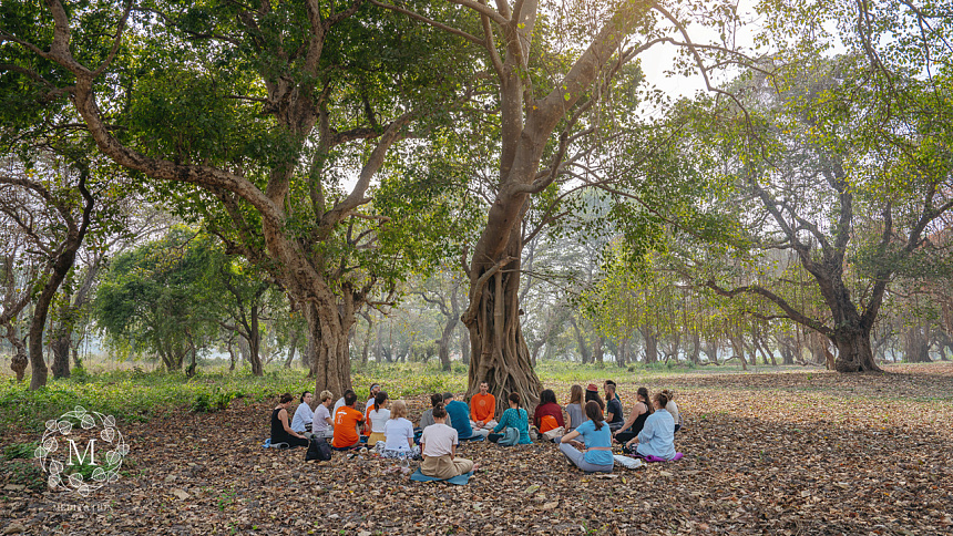 медитация в лесу фото