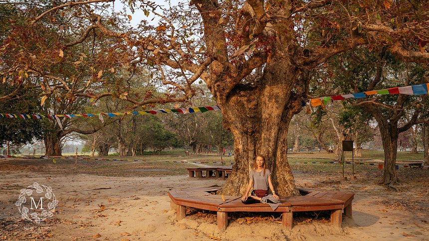 медитация под деревом фото