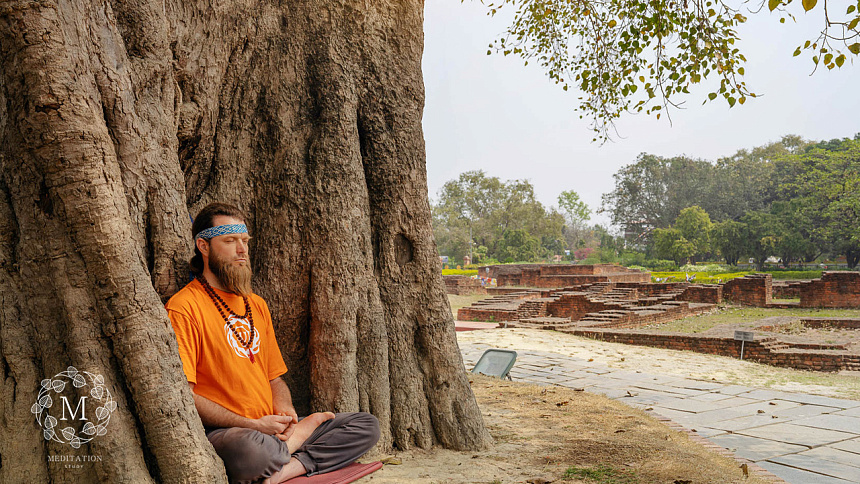медитация под деревом фото