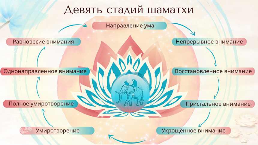 иллюстрация, лотос, слон