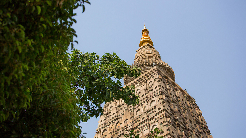 Ступа, дерево