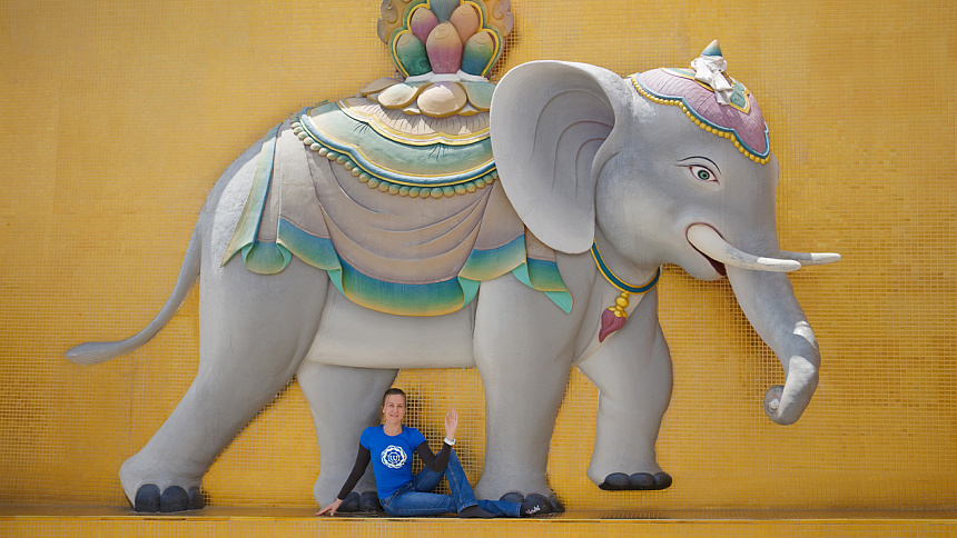 Белый слон фото