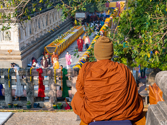 Скандхи в йоге