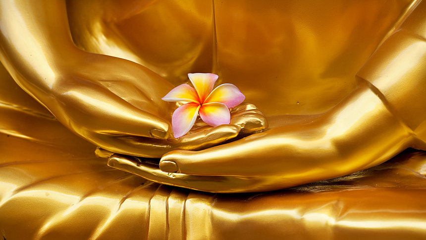 лотос, ладони