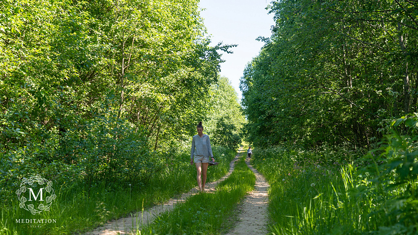 прогулка в лесу фото