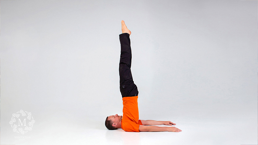 Сарвангасана фото