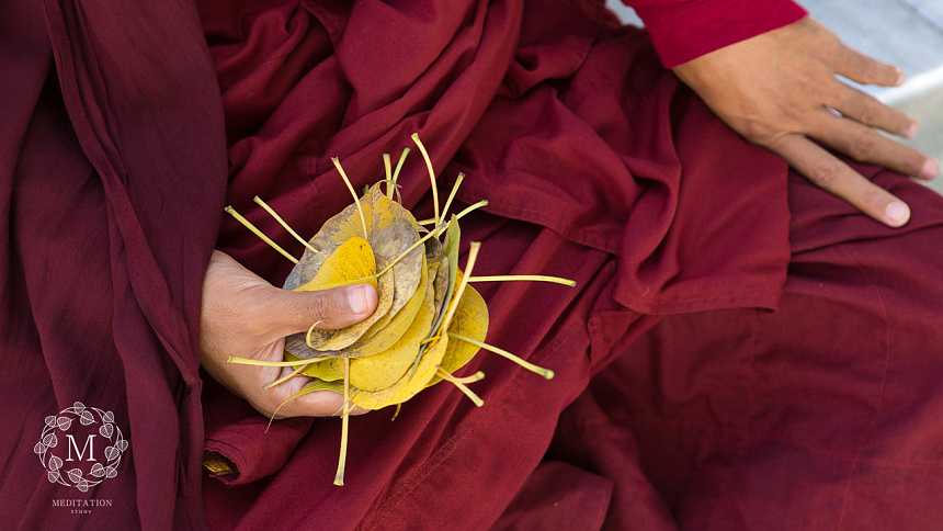 монах, листья в руке