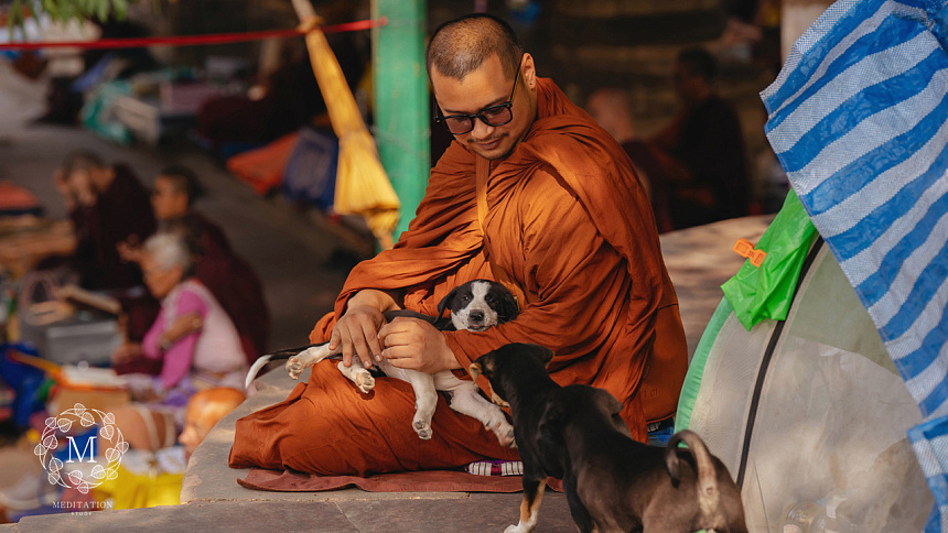 монах и собака фото