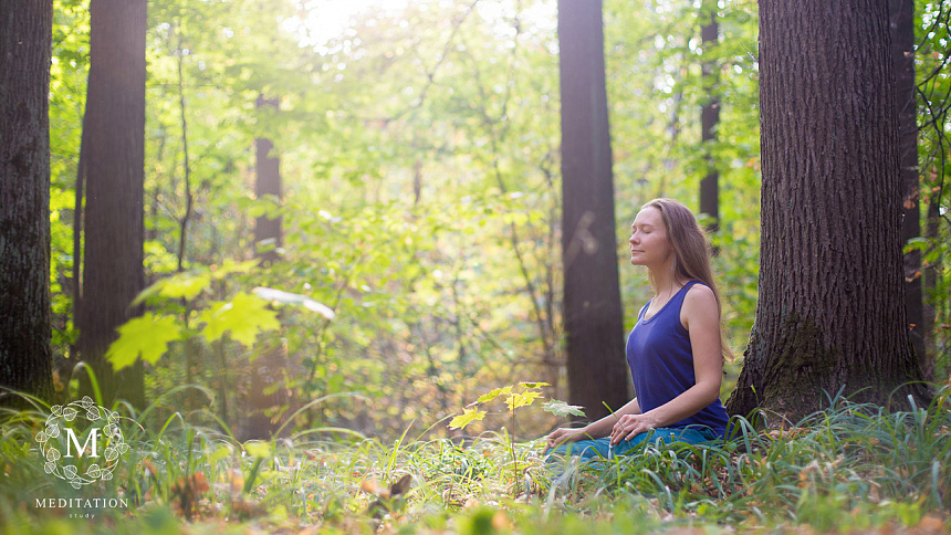 медитация в лесу фото