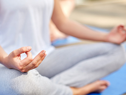 Преподаватели