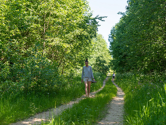 Кинхин: полное руководство по медитации в ходьбе. Как обрести осознанность в движении